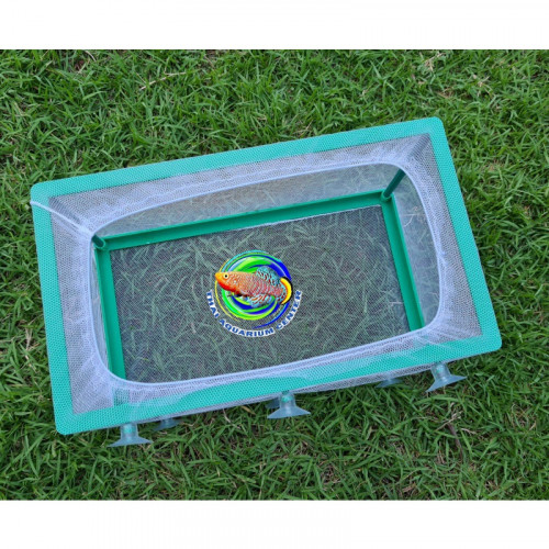Liya กล่องตาข่าย(L-LY4702)สําหรับแยกเพาะพันธุ์ปลา Aquarium Net Breeder 2