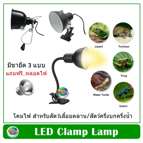 Reptile Clamp Lamp โคมไฟ ให้ความร้อน แบบ A สำหรับสัตว์เลื้อยคลาน/สัตว์