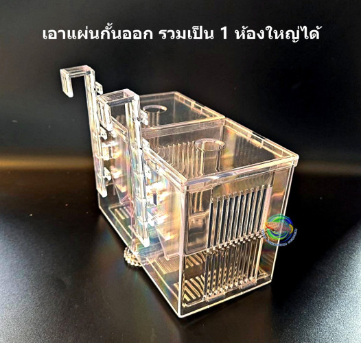 CHONG SHENG กล่องแยกปลา รุ่น GLH-05 แบบมีที่แขวนและจุกยาง ใสในตู้ปลา กล่องฟักปลา กล่องพักปลา 5