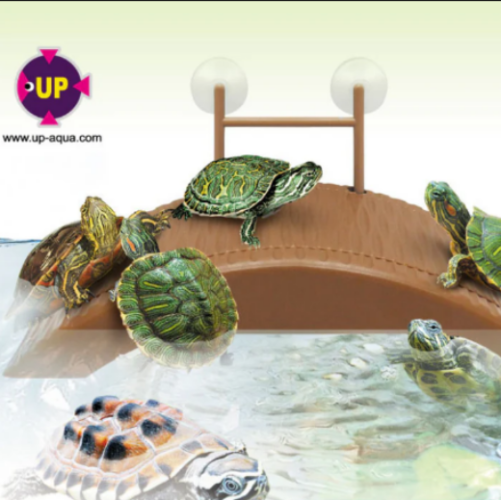 UP D-650 สะพานเลี้ยงเต่า ตะพาบ Floating Turtle Pier 1