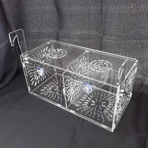 กล่องอคริลิคแยกเลี้ยงปลา กุ้ง ในตู้ปลาใหญ่ แบบแขวน ขนาด 2 ช่องAcrylic Aquarium Fish Tank Box Hang On 1