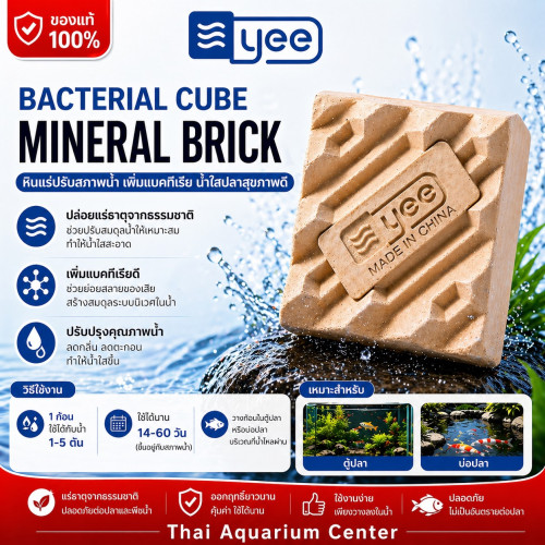 YEE Bacterial Cube Mineral Brick หินแร่แบคทีเรีย ปรับสภาพน้ำ