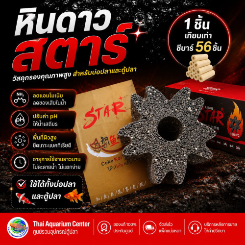 STAR หินดาว (1 ชิ้น) วัสดุกรองน้ำ เกรดพรีเมียม ของแท้ 100% วัสดุกรองตู้ปลา บ่อปลา ลดแอมโมเนีย ไนเตรท