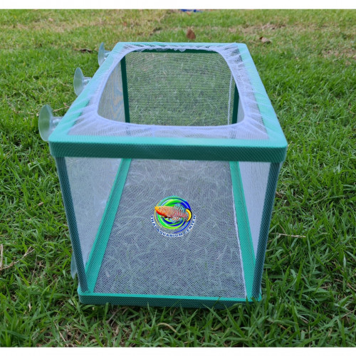 Liya กล่องตาข่าย(S-LY4701) สําหรับแยกเพาะพันธุ์ปลา Aquarium Net Breeder 1