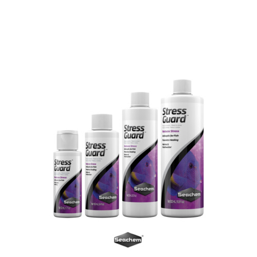 Seachem StressGuard™ สารฆ่าเชื้อโรคสำหรับปลาสวยงาม ลดอาการเครียดระหว่างเดินทาง เปลี่ยนตู้ กักโรค 1