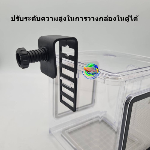 กล่องอคริลิค แยกเลี้ยงปลา กุ้ง ในตู้ปลาใหญ่ แบบแขวน แบบ 1 ช่อง พร้อมตะแกรงสแตนเลส 304  Aquarium Fish 4