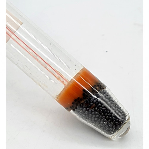 Dymax Glass Hydrometer ปรอท 2 IN 1 วัดความเค็ม และ วัดอุณภูมิ