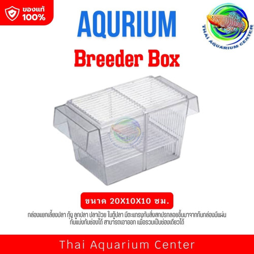กล่องแยกเลี้ยงปลา กุ้ง ลูกปลา ปลาป่วย ในตู้ปลา Breeder Box