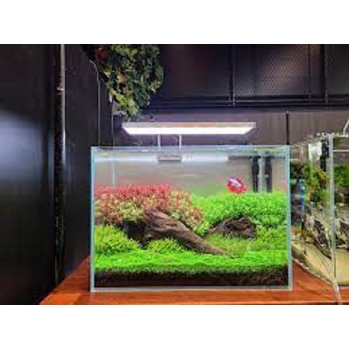 AQUARIO NEO SOIL ดินสำหรับปลูกไม้น้ำ ขนาด 8 ลิตร ขนาดเม็ดPowder(เม็ดเล็ก) 5