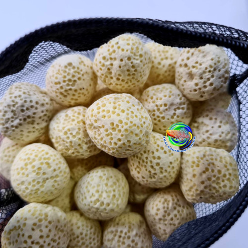 Ceramic Ring เซรามิค ริง สำหรับกรองน้ำบ่อปลา น้ำหนัก 1 Kg 4