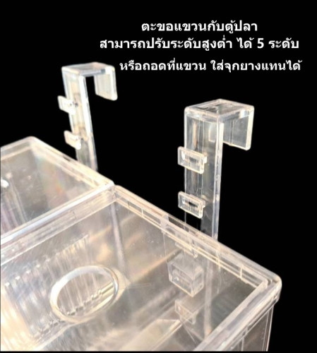 CHONG SHENG กล่องแยกปลา รุ่น GLH-05 แบบมีที่แขวนและจุกยาง ใสในตู้ปลา กล่องฟักปลา กล่องพักปลา 3