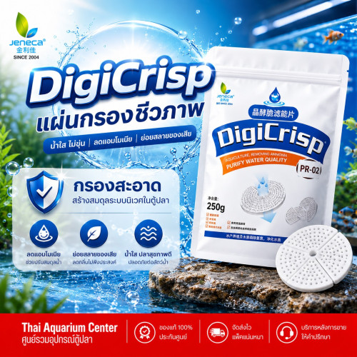 Jeneca DigiCrisp PR-02 แผ่นกรองชีวภาพ ตัวช่วยเพิ่มพื้นที่แบคทีเรียดี