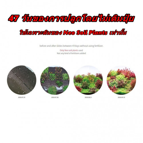 AQUARIO NEO SOIL ดินสำหรับปลูกไม้น้ำ ขนาด 8 ลิตร ขนาดเม็ดPowder(เม็ดเล็ก) 6