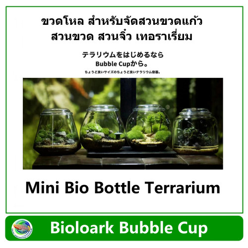 Bioloark Bubble Cup Mini Bio Bottle Terrarium จัดสวนในขวดแก้ว ขวดโดมแก้ว สวนขวด สวนจิ๋ว เทอทาเรี่ยม 