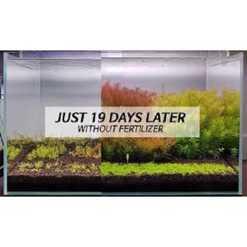 AQUARIO NEO SOIL ดินสำหรับปลูกไม้น้ำ ขนาด 8 ลิตร ขนาดเม็ดPowder(เม็ดเล็ก) 1