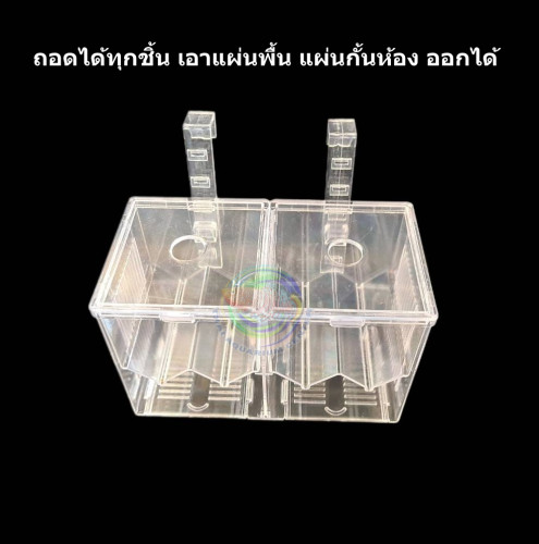 CHONG SHENG กล่องแยกปลา รุ่น GLH-05 แบบมีที่แขวนและจุกยาง ใสในตู้ปลา กล่องฟักปลา กล่องพักปลา 2