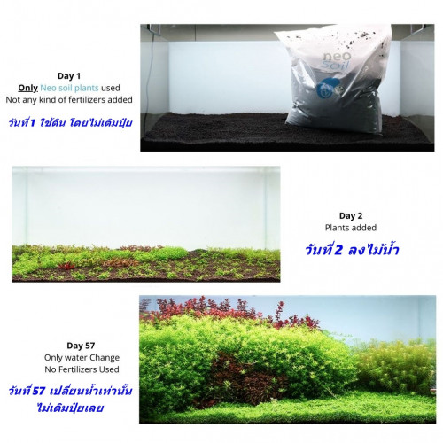 AQUARIO NEO SOIL ดินสำหรับปลูกไม้น้ำ ขนาด 8 ลิตร ขนาดเม็ดPowder(เม็ดเล็ก) 4