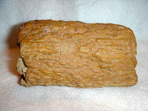 ฟอสซิลไม้ (Wood Fossil) เล็ก