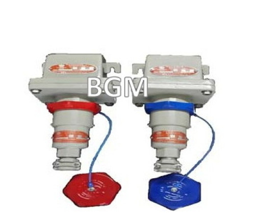 BGM รุ่น BRC221-16 Receptacle and Plug Two-Gang Explosion Proof 1-Phase 220VAC-16A