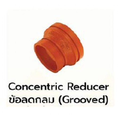 MECH model.240 Concentric Reducer Groove  UL/FM