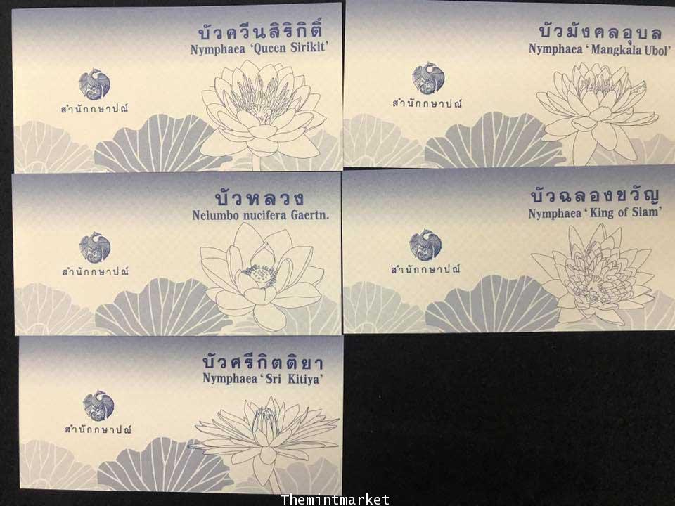 ชุดเหรียญดอกบัว เนื้อนิเกิลลงสี ครบชุด 5 เหรียญ 2