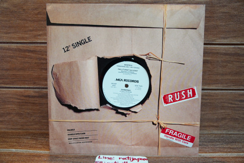 (158) MONTECO - Call It What You Want,Summerday (HIP HOP Single) 1LP 1