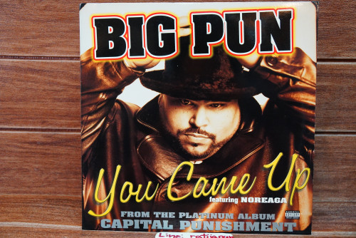 (78) BIG PUN - You Came Up (Single)