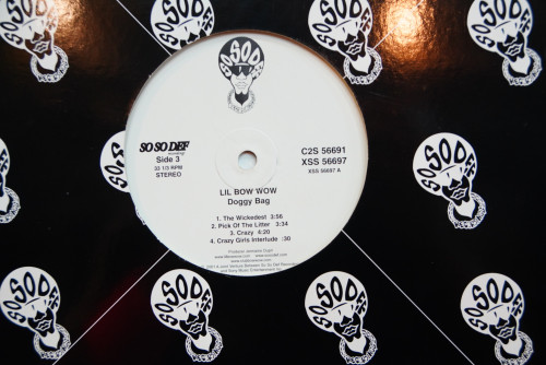 (117) Lil Bow Wow - Doggy Bag (Album) 2LP 1