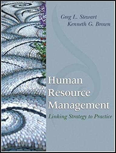Human Resource Management : Linking Strategy to Practice 1st Edition  ISBN 9780471717515