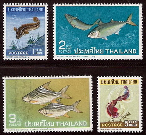 แสตมป์ชุดปลาไทยชุด 1 ปี 2510 ยังไม่ใช้