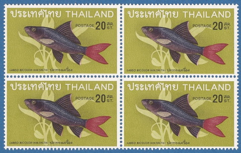 แสตมป์ชุดปลาไทยชุดที่ 2 ปี พ.ศ. 2511 ดวงราคา 20  สต.ปลาทรงเครื่อง บล็อกสี่ ขาวมาก