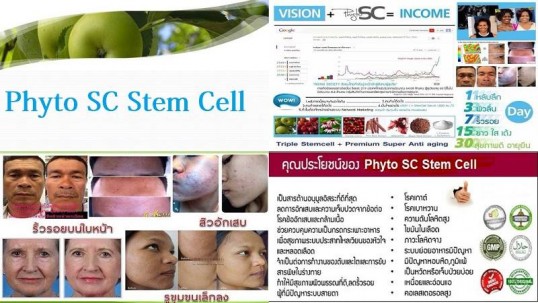ไฟโตเอสซี phyto SC stemcell ราคาถูกที่สุด ซื้อ1แถม1 3