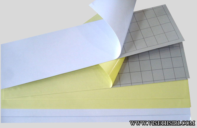 แผ่นกาวดักแมลง ขนาด 14 x 57 cm. 3