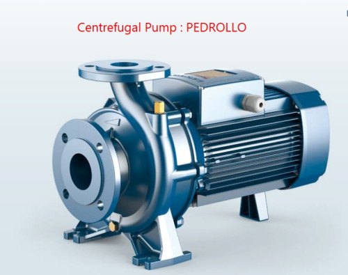 ปั๊มน้ำ PEDROLLO รุ่น F32/200BH