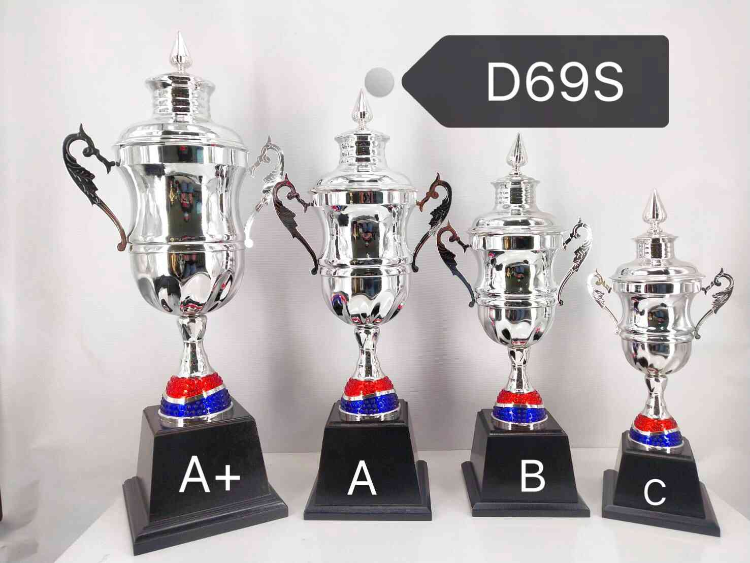 d69s