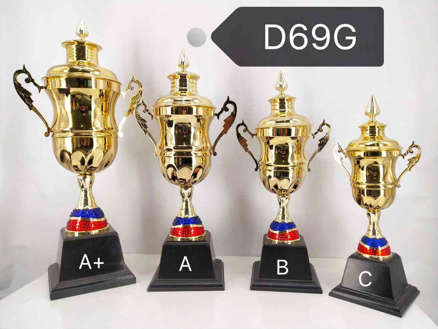 d69g