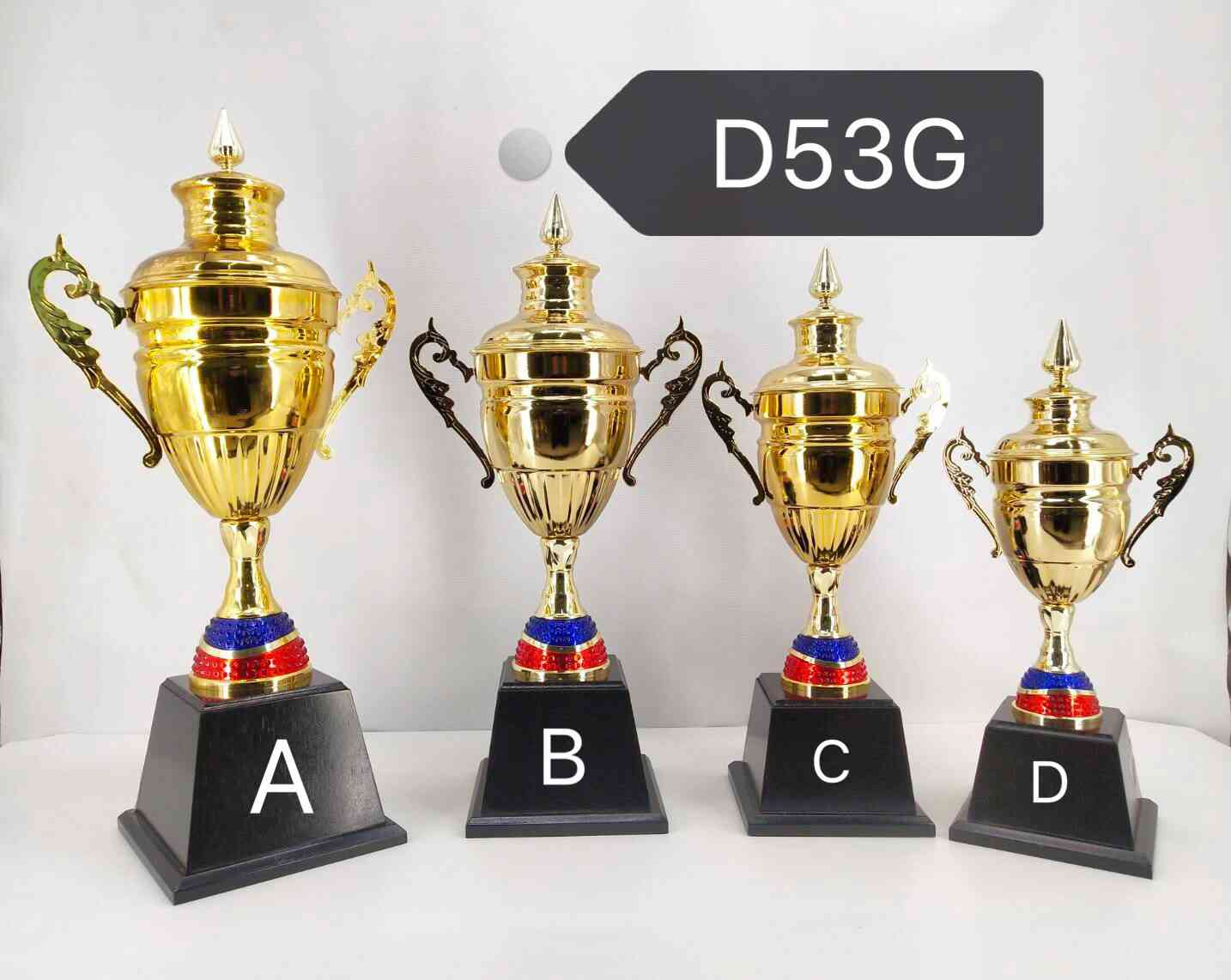 d53g