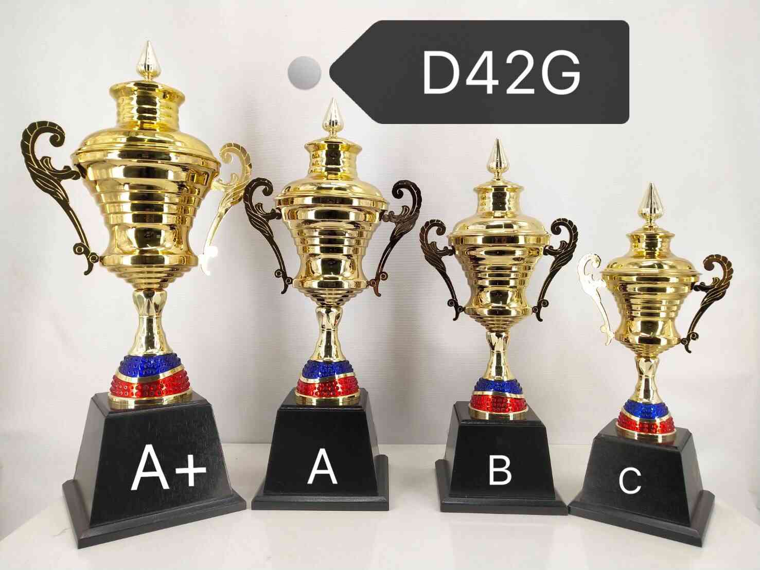d42g