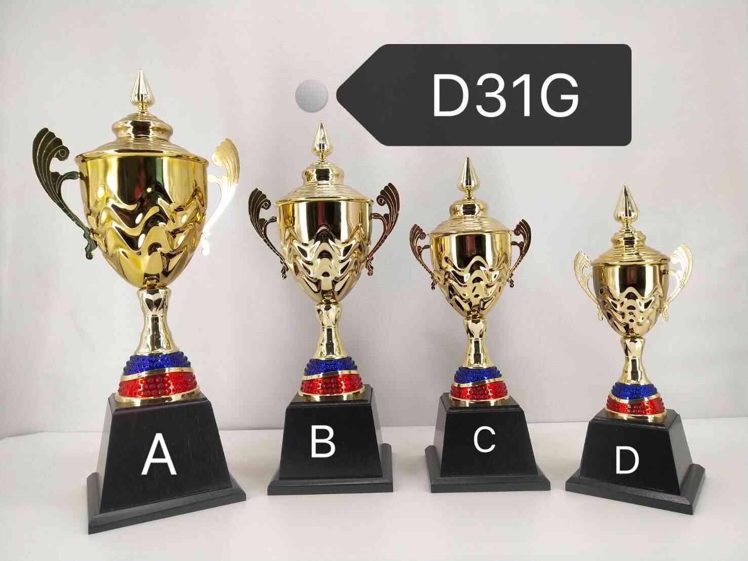d31g