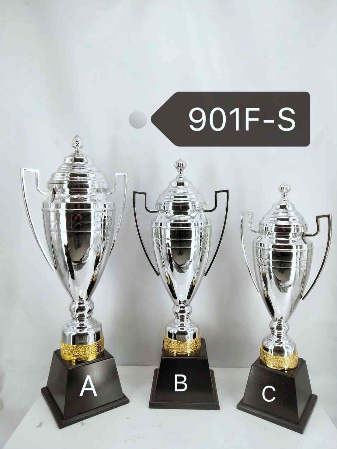 901fs